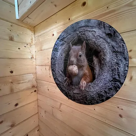 L'ecrin Des Sentiers בית נופש La Bruyere