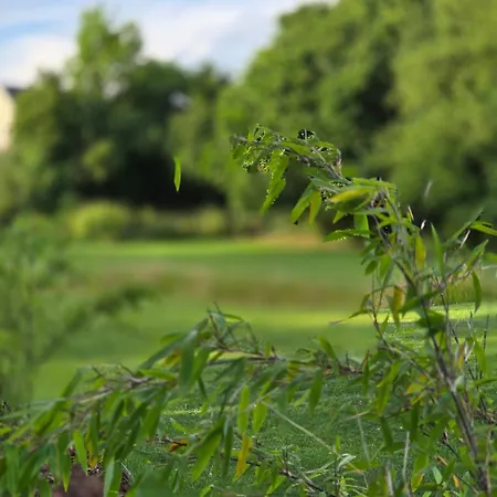 L'ecrin Des Sentiers La Bruyere