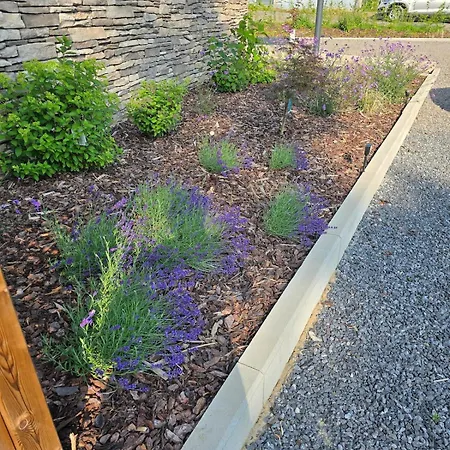 Semesterbostad L'ecrin Des Sentiers La Bruyere