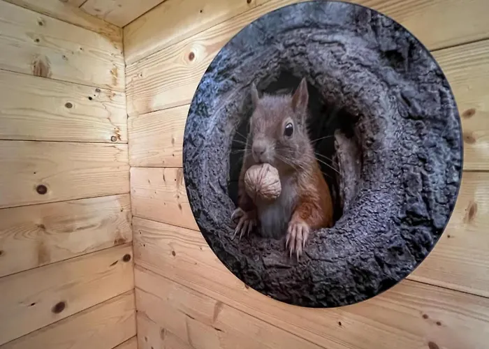 L'ecrin Des Sentiers Holiday home La Bruyere