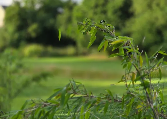 L'ecrin Des Sentiers La Bruyere