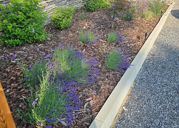 Casa vacanze L'ecrin Des Sentiers La Bruyere